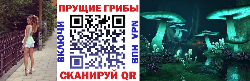 Галлюциногенные грибы ЛСД  Купить где  Алзамай 